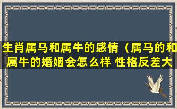 生肖属马和属牛的感情（属马的和属牛的婚姻会怎么样 性格反差大）